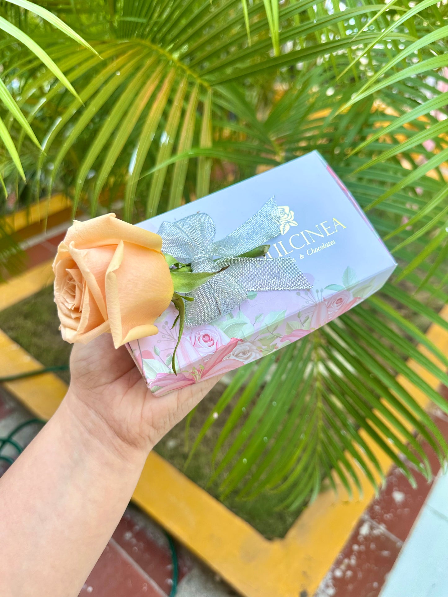 Me gustas mucho Chocomensaje