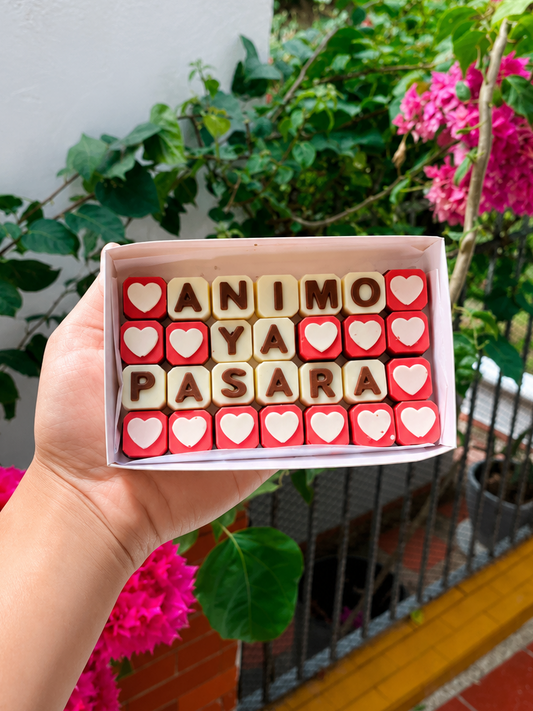Animo ya pasara