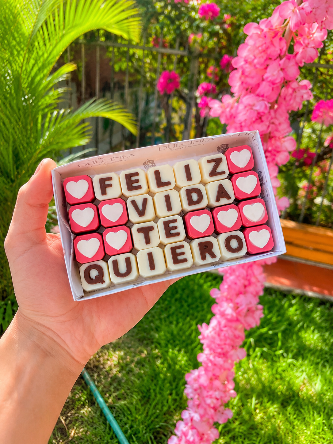 Feliz vida te quiero Chocomensaje